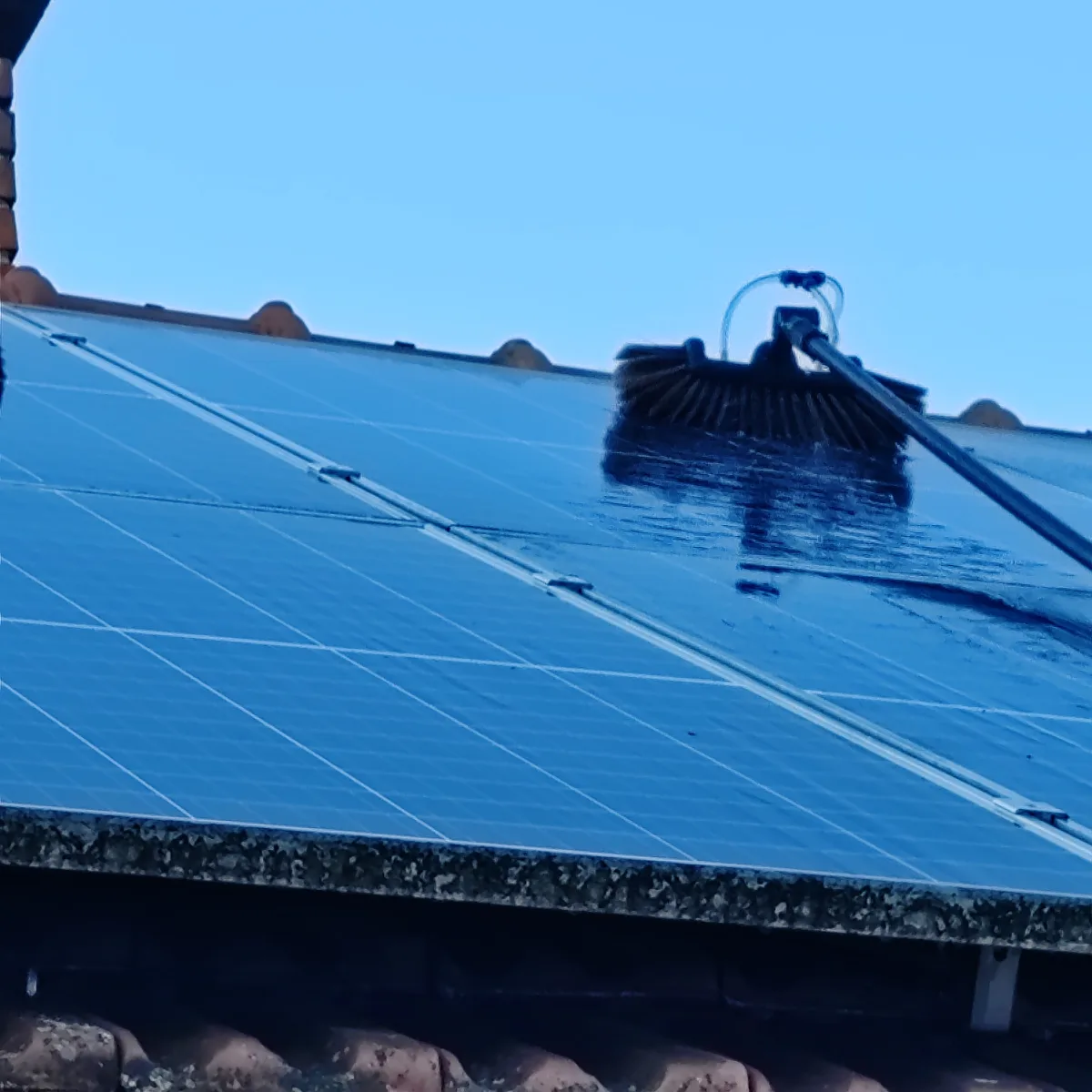 Referencia fotó