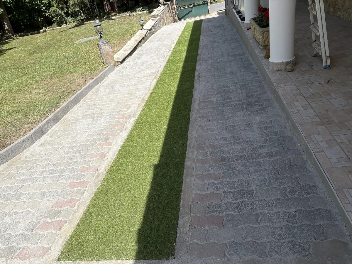 Referencia fotó