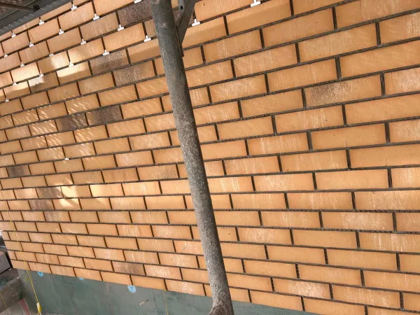 Profilkép